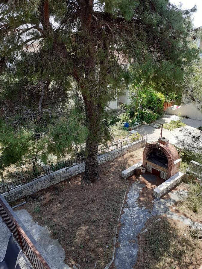 Pine Tree Apartment Водице Экстерьер фото